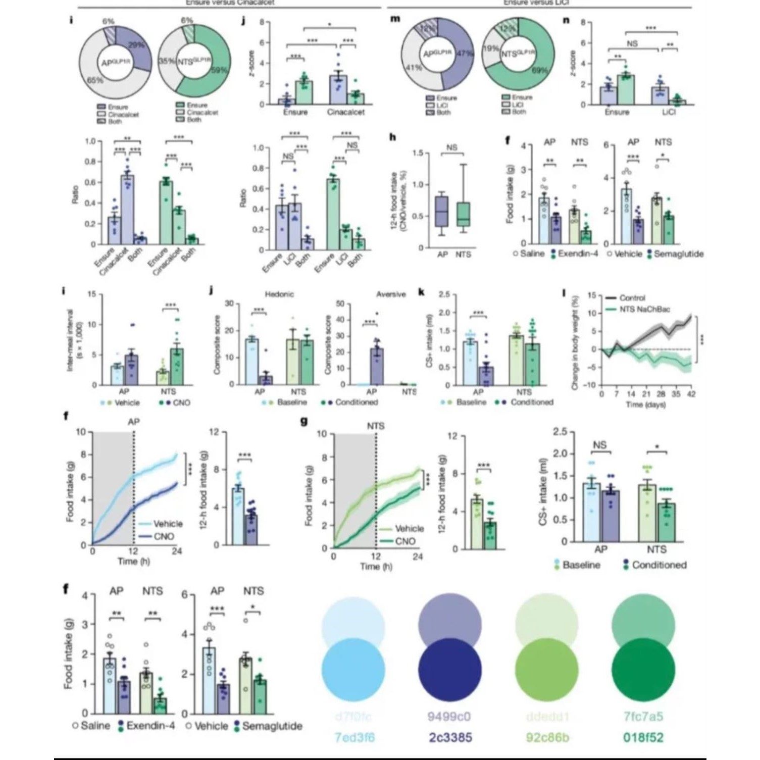一对一辅导/系统学单细胞测序/chipseq/RNAseq/At