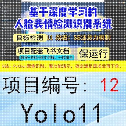 Python深度学习项目系统大全1-30(看好序号进行选择下单)