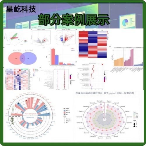 生信分析医学TCGA GEO数据库挖掘2-10分单细胞测序生信分析服务