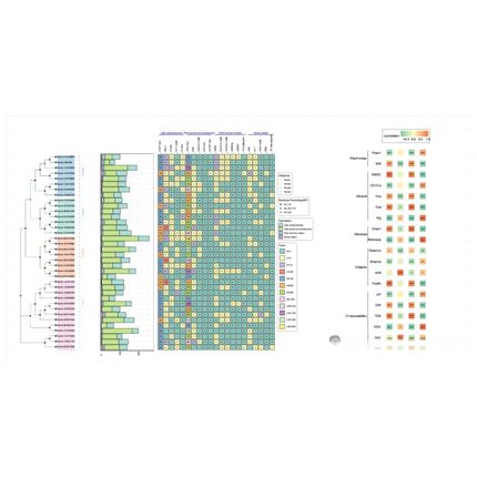 医学统计SPSS数据分析Graphpad Prism作图MedCalc分析R代做