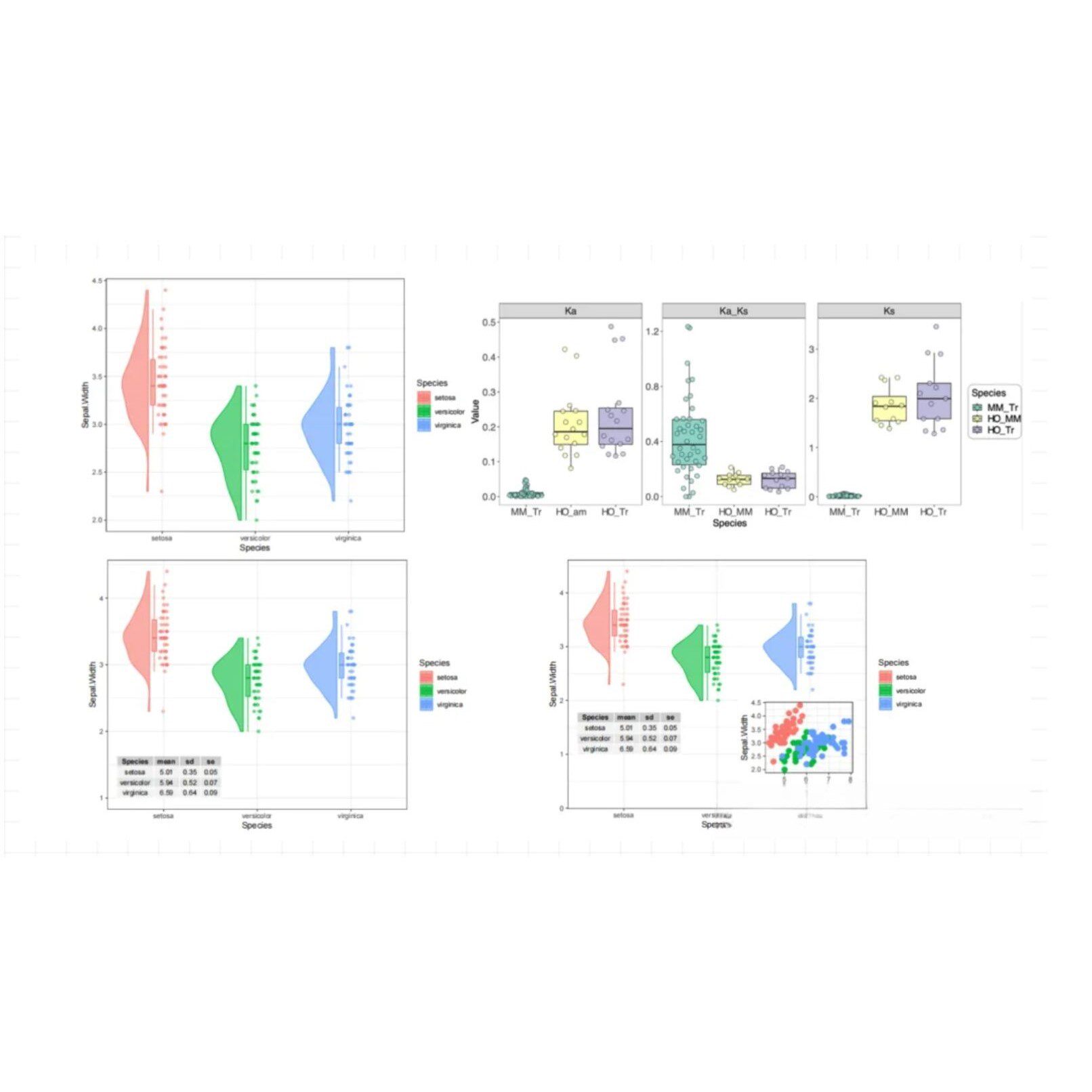 RapidMiner分类聚类回归神经网络关联规则可视化数据分析指导咨询