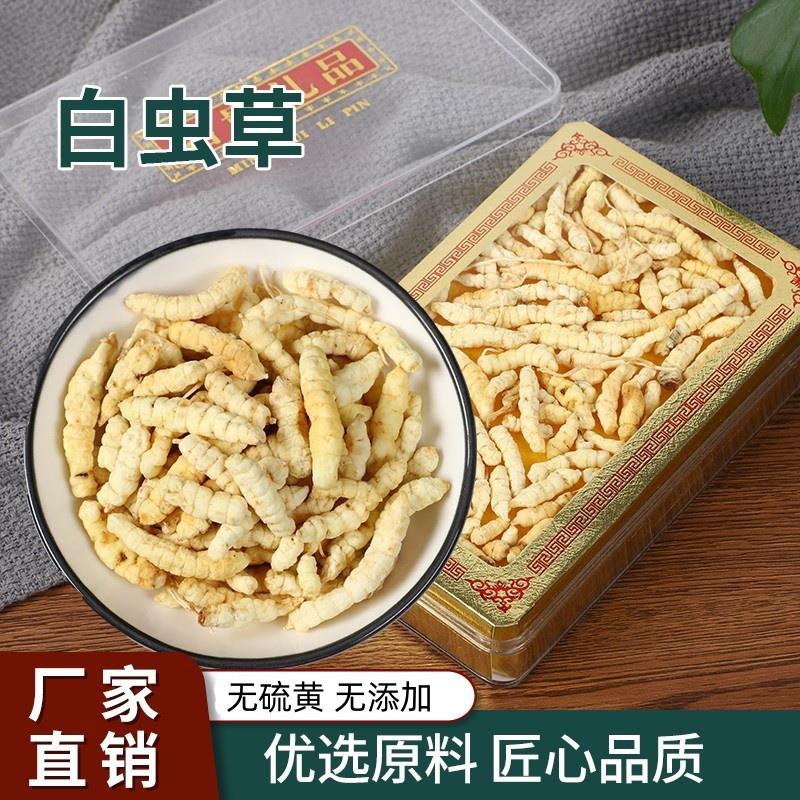 白冬虫草大货草食蚕地蚕泽兰根白虫草参客磨粉草石蚕
