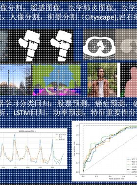 python深度学习图像分类识别检测机器学习算法语义分割GAN关键点