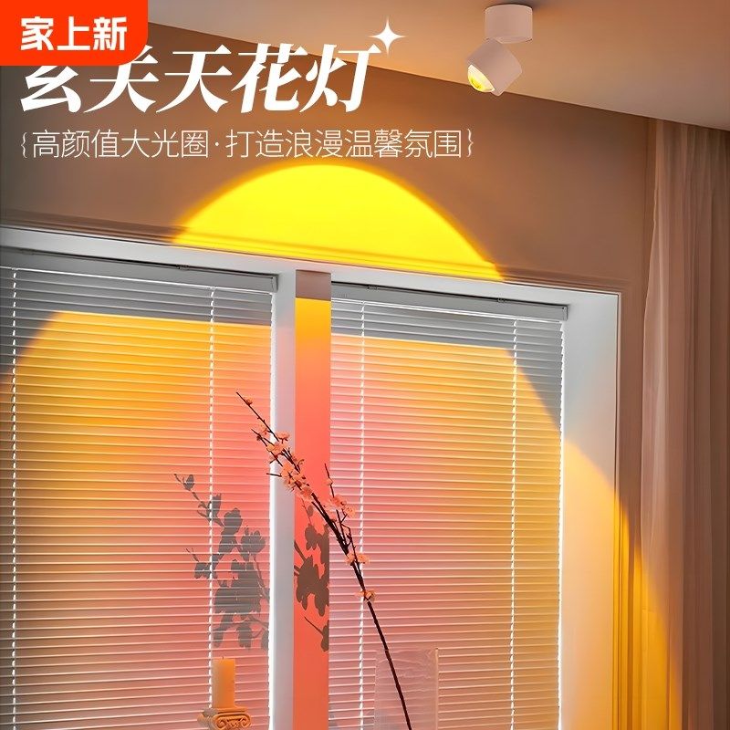 玄关天花灯夕阳落日灯明装可调角度走廊过道日不落射灯嵌入式家用,家装灯饰光源,明装射灯,淘宝优惠券,粉丝福利购,淘宝优惠卷