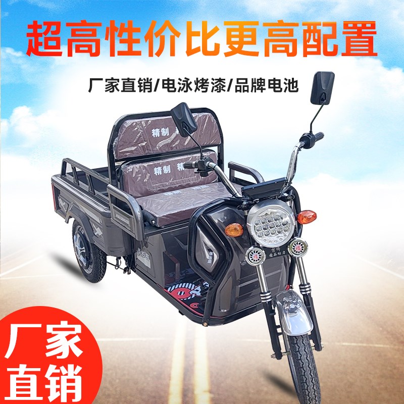 电动三轮车成人小型老人迷你接送孩子货车拉货老年步车三轮新款