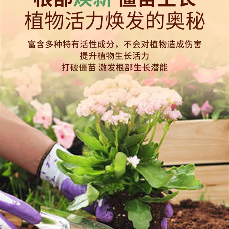 花卉盆栽植物养花通用生长植物活力素浓缩营养液促生长发财树生根