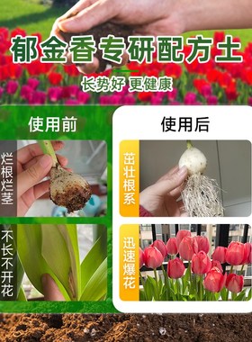 郁金香专用土营养土花卉专用通用土壤绿植泥土种植土盆栽专用肥料