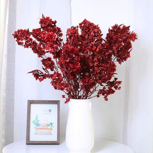 迎客豆蝴蝶花干燥花永生花年宵花过年节日红色喜庆客厅装饰插花真