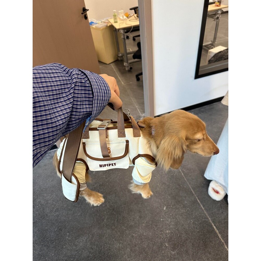 狗包外出便携小型犬斜跨手提可露头挎包猫狗通用狗狗出行包狗袋子