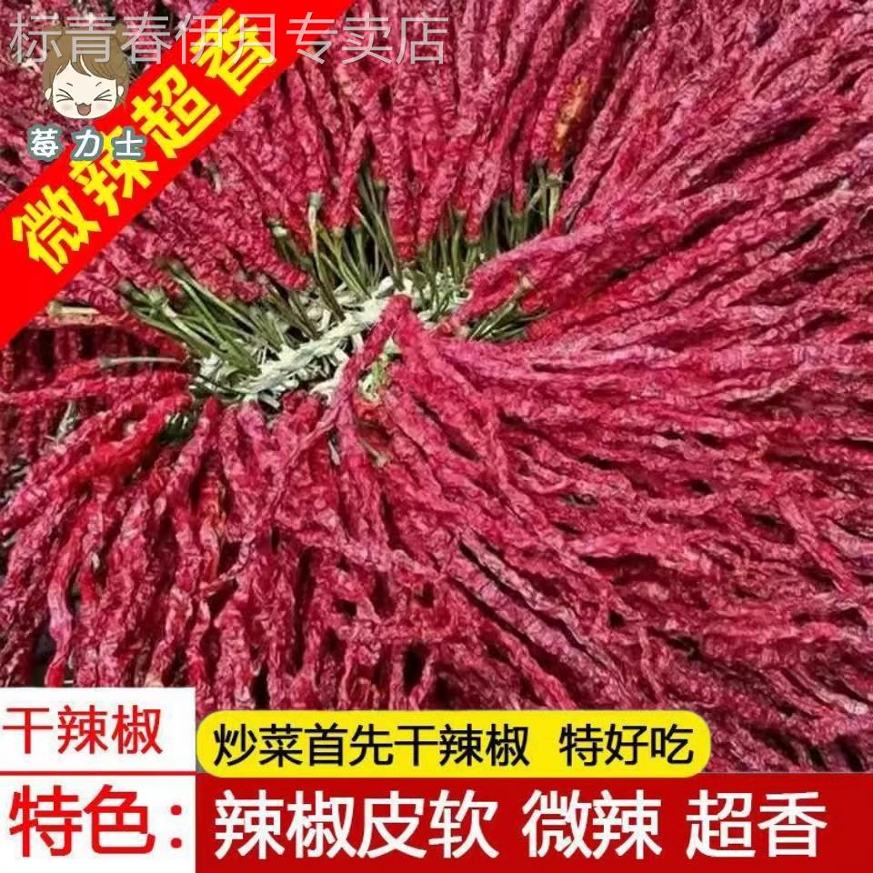 特香辣椒辣椒大方贵州特产干辣椒带把干辣椒贵州二荆条干辣椒500