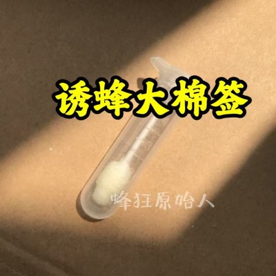 蜂具诱蜂信息素诱蜂大棉签蜂王信息素工蜂信息素口授信息2支一袋