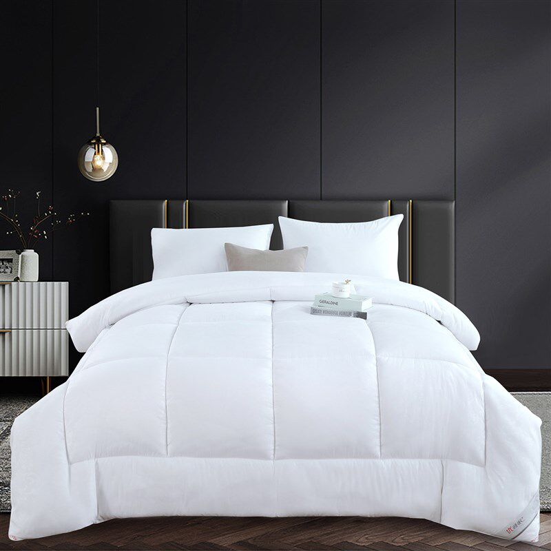 星级酒店专用被子被芯春秋冬加厚保暖宾馆丝棉四季空调夏凉被2m米