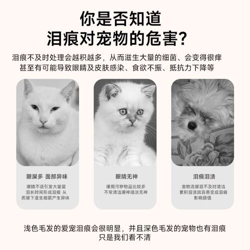 eye envy天使眼猫用泪痕水宠物泪痕清洁擦眼睛加菲泪痕湿巾