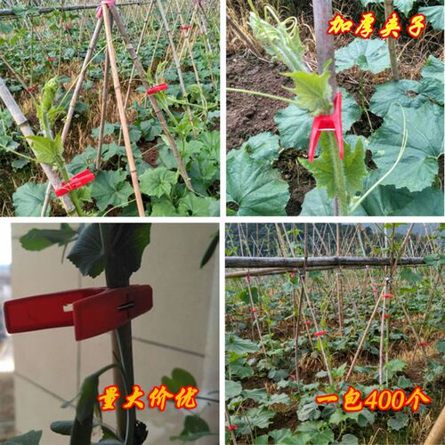 冬瓜夹子藤夹藤蔓固定夹绑枝绑蔓塑F料夹瓜苗黄瓜扶藤夹多功能扶