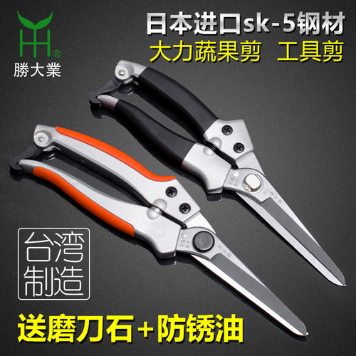 园林绿化园艺直嘴修枝剪刀采摘果剪稀果整枝剪疏花剪果树剪盆景剪