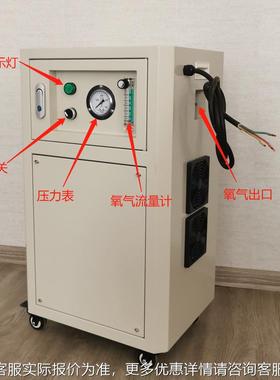 10L工业燃制氧机玻璃饰灯工助工艺品烧制制氧UZR机打金首纯氧机优