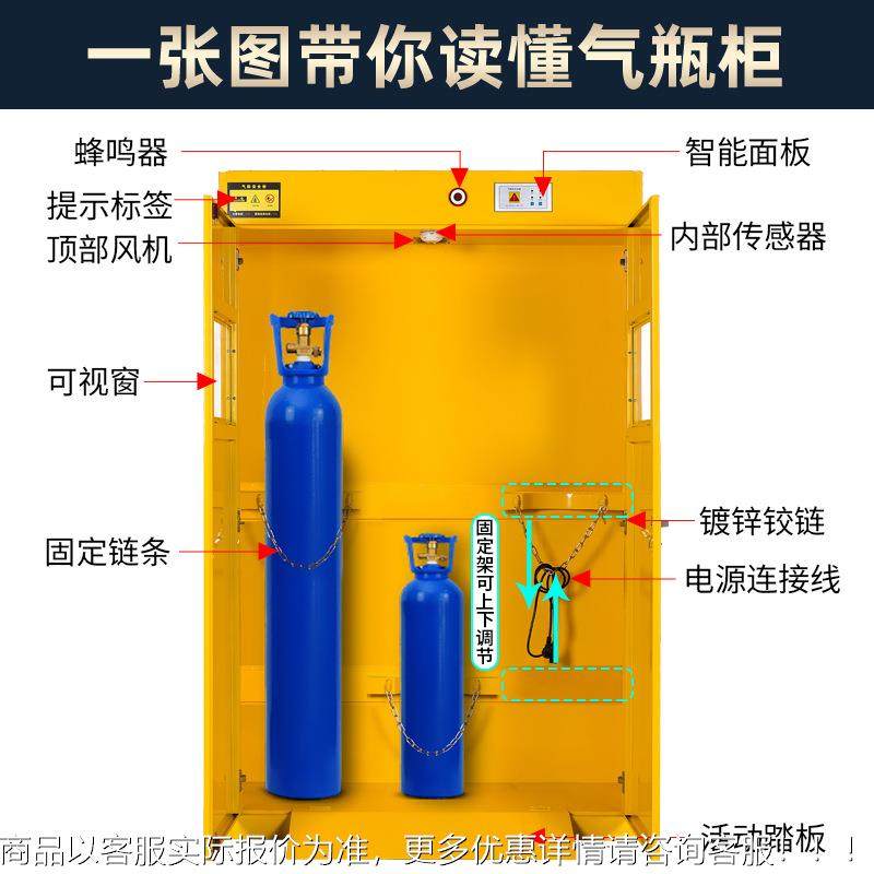 气瓶柜安全柜钢防爆炔氢气氮煤气罐气实验全乙室储FLASH-20存双瓶,商业/办公家具,办公储物柜,淘宝优惠券,粉丝福利购,淘宝优惠卷