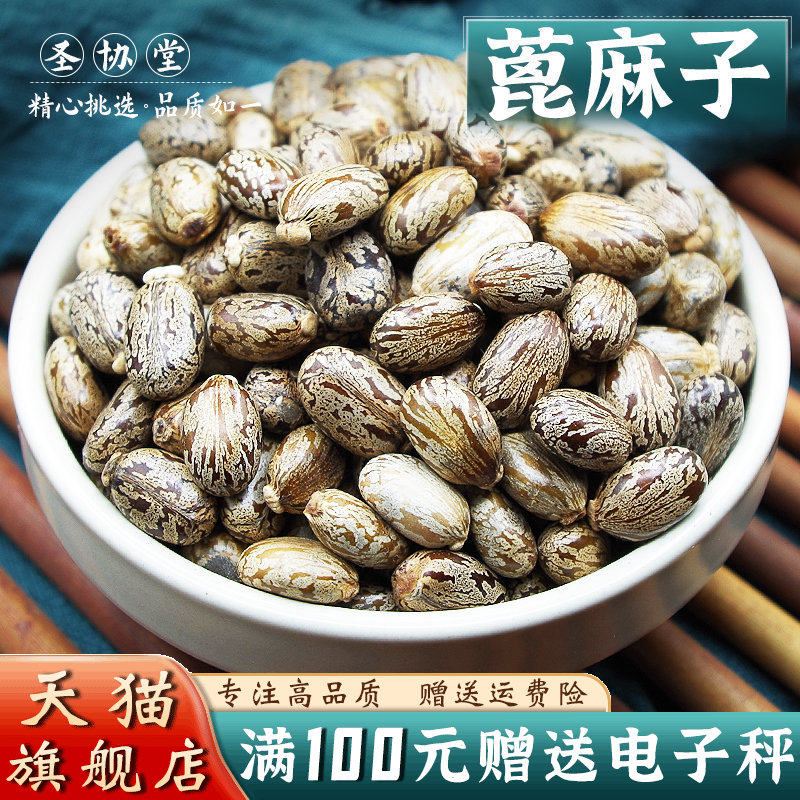 蓖麻子500克 中药材当季新货黑皮蓖麻子非非野生中药材蓖麻子种子