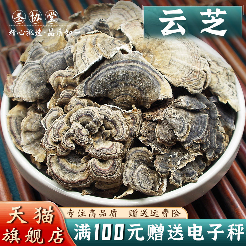 云芝 当季新货中药材 别名色云芝黄云芝灰芝瓦菌彩云革盖菌红见手