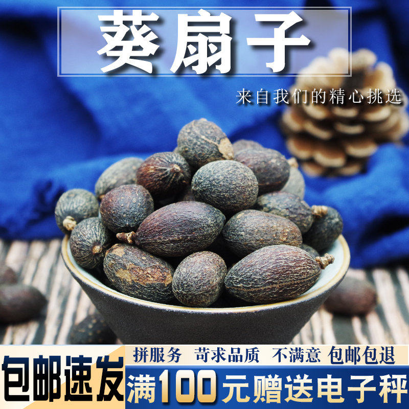 葵扇子500克 葵树子 中药材 葵树籽 葵扇籽 葵树果籽 蒲葵子