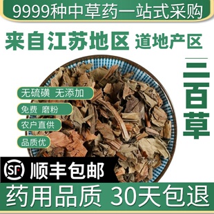 材特级野生三白草 水木通 五路白 新货白水鸡 田三白50克