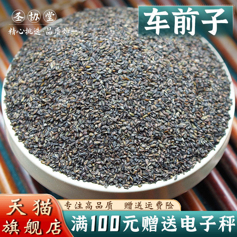 车前子50克中药材当季新货 人工挑选车前子 车前草籽 车前子水