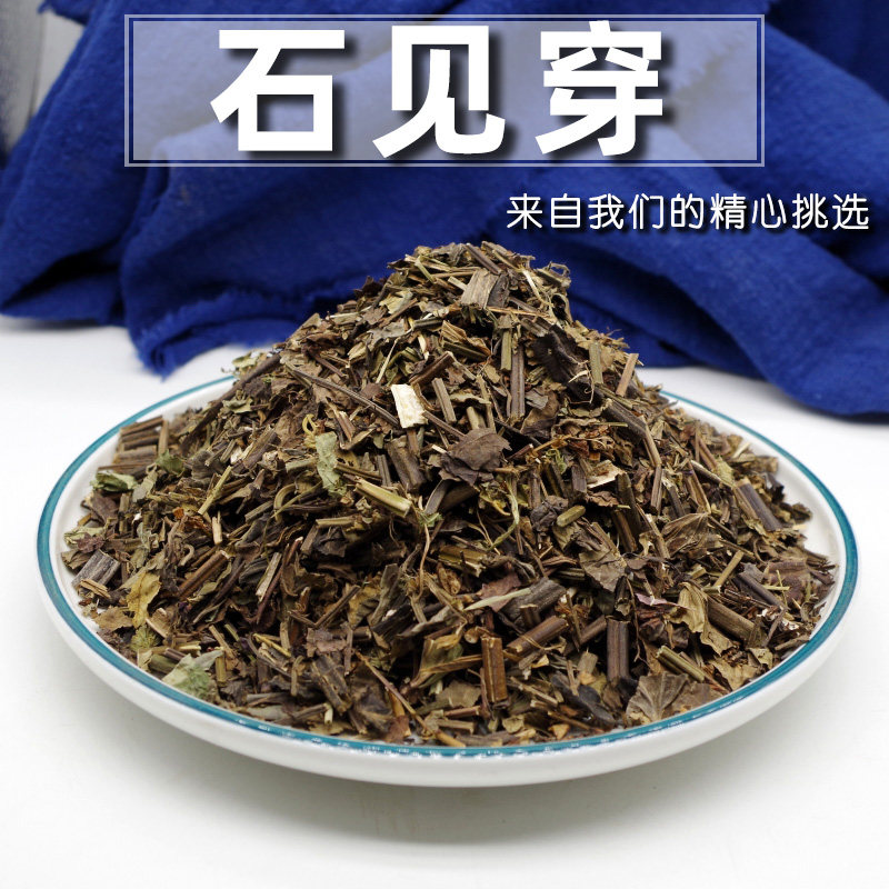 石见穿500克 中药材当季新货 石大川 石打穿 月下红鼠尾草