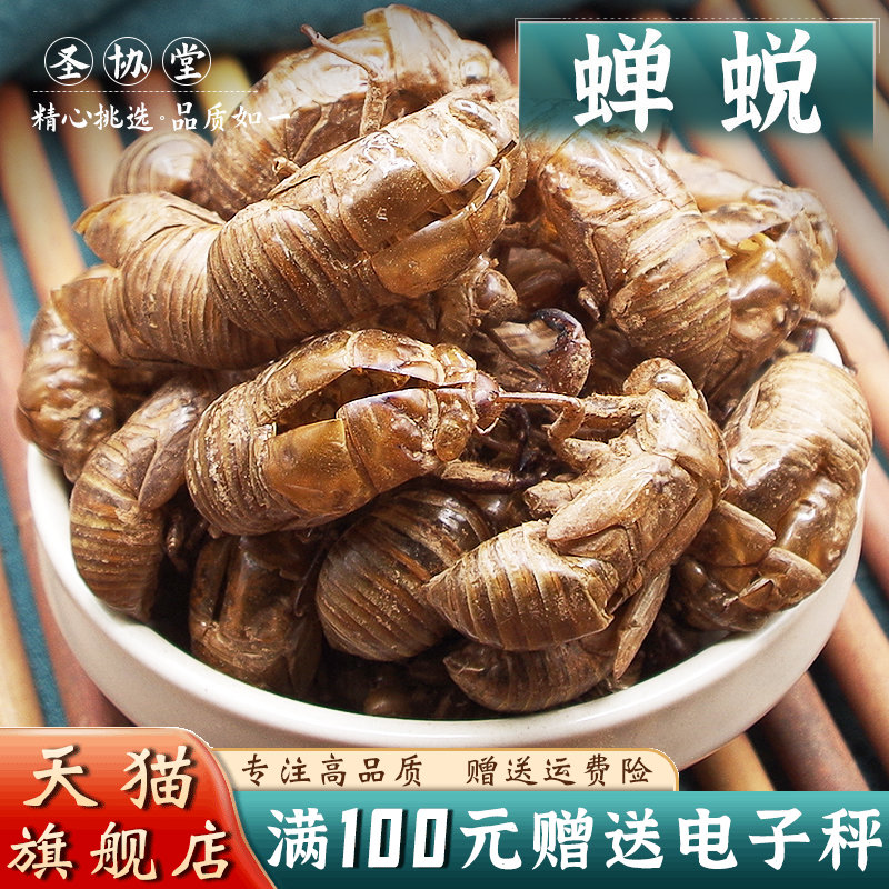 蝉蜕50克当季新货中药材金蝉壳蝉衣知了皮虫蜕水洗大个无土碎