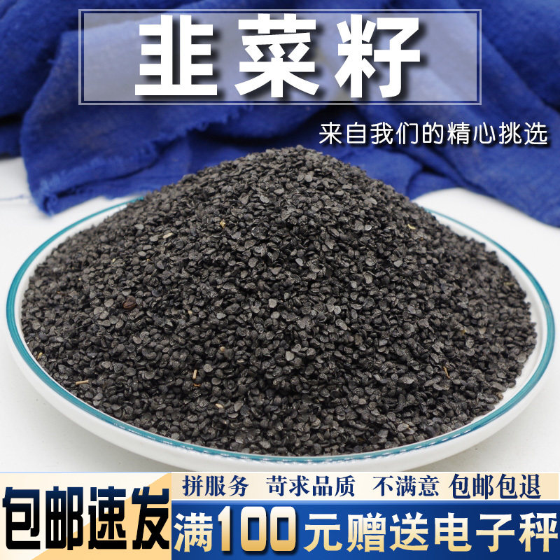 韭菜籽50克中药材当季新货宜搭锁阳肉苁蓉淫羊藿菟丝子泡水酒