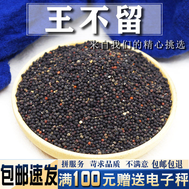 王不留行500克中药材王不留籽非炒王不留行 留行子可搭通草路路通