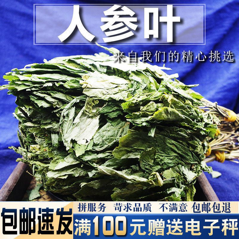 人参叶500克 中药材当季新货 新货人参叶 山参叶 移山参 叶人参叶