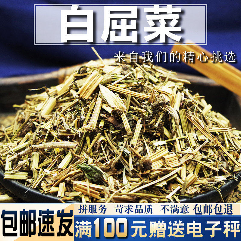 白屈菜500克 中药材当季新货 断肠草山黄连可磨粉冷背中药材