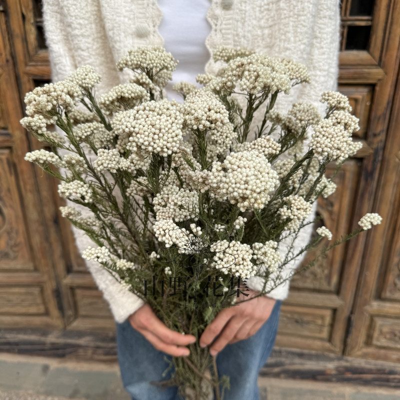 米花干花花束客厅装饰图片