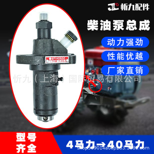 常柴常发莱动时风20马力单缸柴油机ZS1100 ZS1115高压柴油泵总成