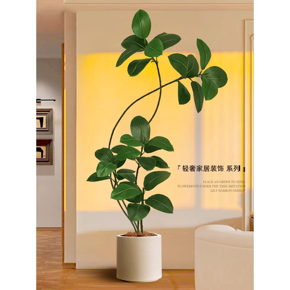 W客厅入口大型装饰品落地假式典雅接近的豪华植物abi-Sabi风格黑