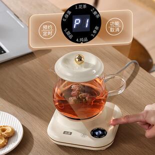 养生水壶多功能家用高硼硅璃恒温养生SY-M27D9杯办公花室烧壶煮玻