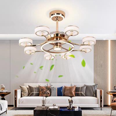 202风49101新款客厅卧灯饭厅扇吊智能变频语音大室风力一体风扇吊