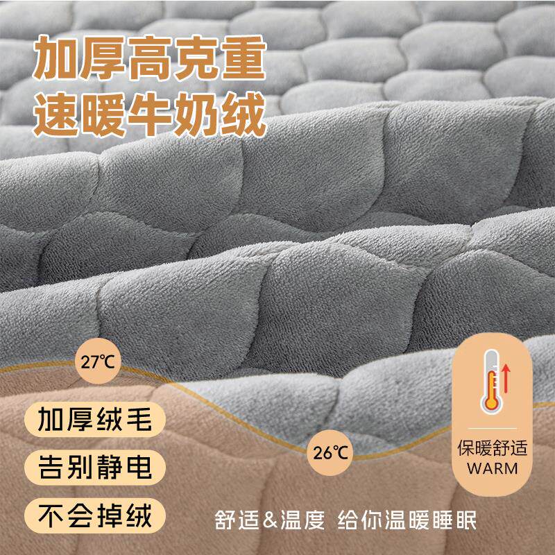 A类冬季牛奶PL-CD0绒床垫家用厚室软垫宿舍学卧生单人加榻褥榻米