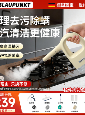 蓝宝高温蒸汽清洁机多功能家用高温地毯沙发窗帘床垫清洁一体机