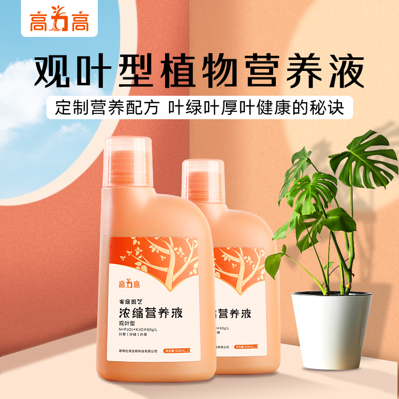 高力高观叶型植物营养液绿植通用肥料室内盆栽绿植花肥料叶面肥料