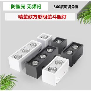 斗胆灯方形led双头射灯筒灯家用客厅无主灯吸顶式 明装 过道格栅灯