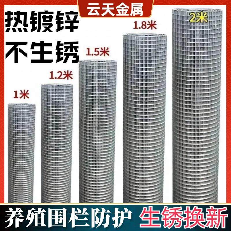 热镀锌铁丝网小网格围栏防护防鼠蛇果园养鸡鸽兔子鱼塘防锈钢丝网