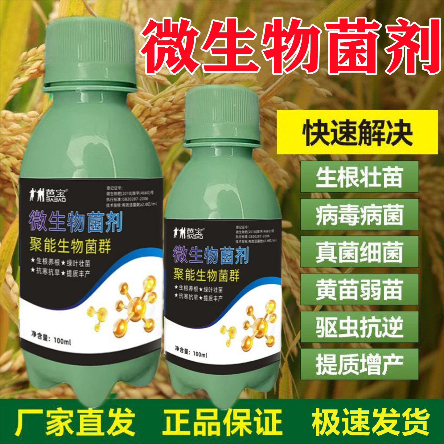 微生物菌剂抑制真菌细菌黄叶菌安天下辣椒甘蔗桑叶果蔬药材等增产