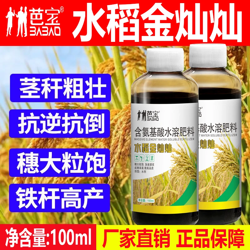 稻黄金水稻金灿灿提苗壮棵促分蘖抗倒伏籽粒饱增产增收增产叶面肥