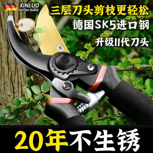 德国进口剪树枝专用剪刀园林果树修枝剪sk5剪子艺园剪刀修花家用