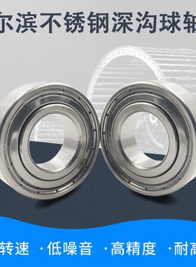 不锈钢深沟球轴承S6300Z S6301 S6302 S6303 S6304 S6305 S6306ZZ