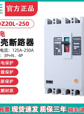 TENGEN天正DZ20L-250/3N300 250A漏电空开塑壳断路器三相四线200A