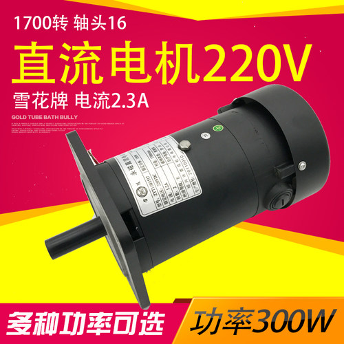 ZYT110永磁直流电机马达220v大功率300w卧式送料放料电动机制袋机
