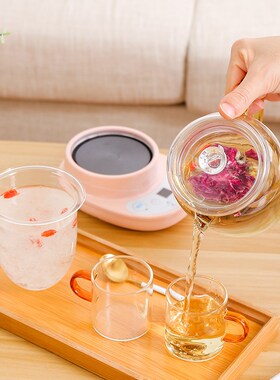 养生壶迷你型养生杯办公室家用小型煮茶杯多功能电热杯烧水热奶杯