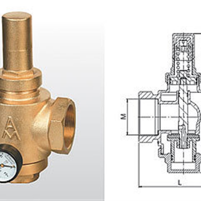 正品埃美柯729黄铜活塞式可调减压阀稳压带压力表DN50 2寸专卖店